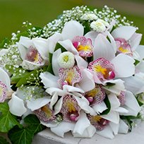 Посмотрите орхидеи в Челябинске от компании Цветочный блюз!